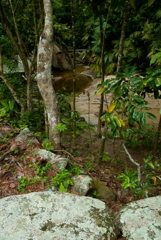 Ciudad Perdida, Sierra Nevada de Santa Marta, Sant...