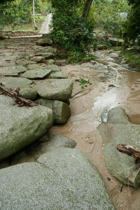 Ciudad Perdida, Sierra Nevada de Santa Marta, Sant...