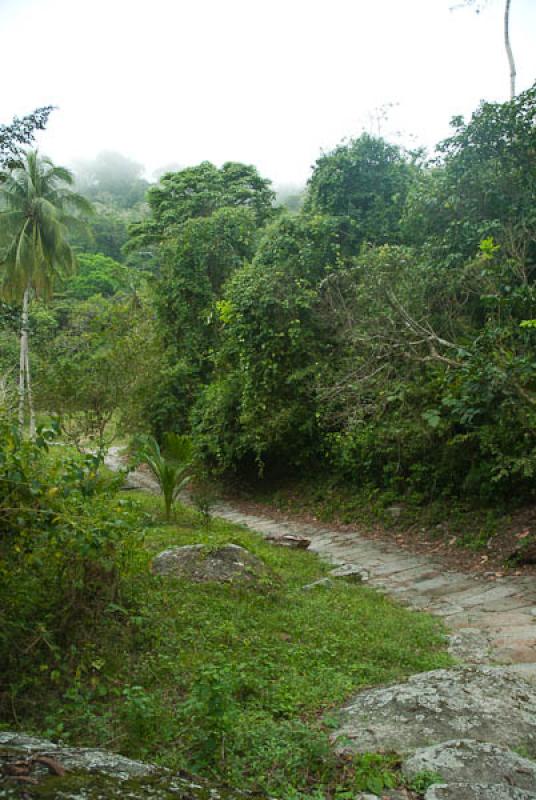 Ciudad Perdida, Sierra Nevada de Santa Marta, Sant...