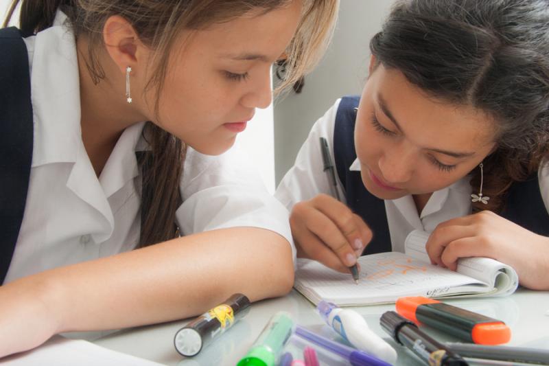 Niñas Estudiando