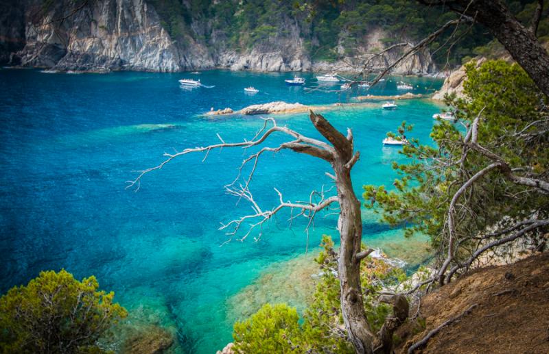 Playa de Cala, Costa Brava, Girona, Cataluña, Esp...