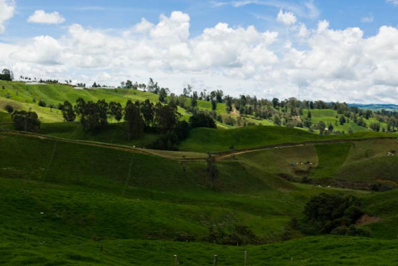 Paisaje de Entrerrios, Norte AntioqueÃ±o, Antioq...