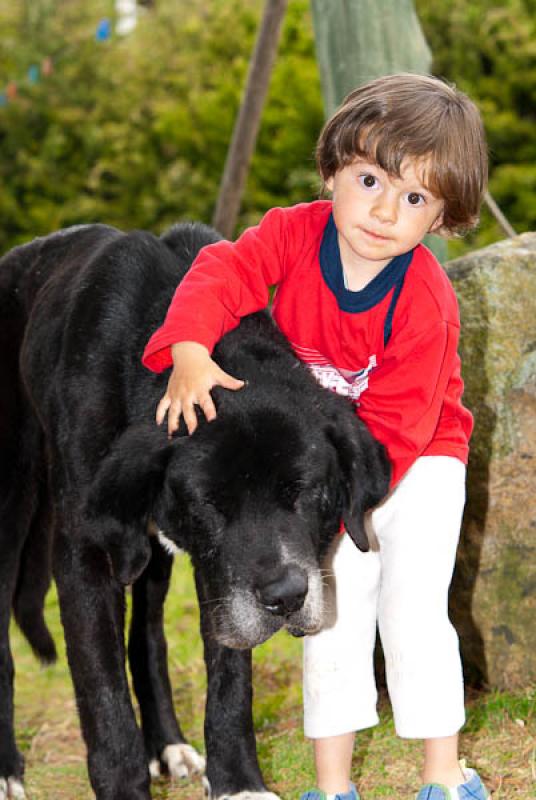 NiÃ±o con su Mascota