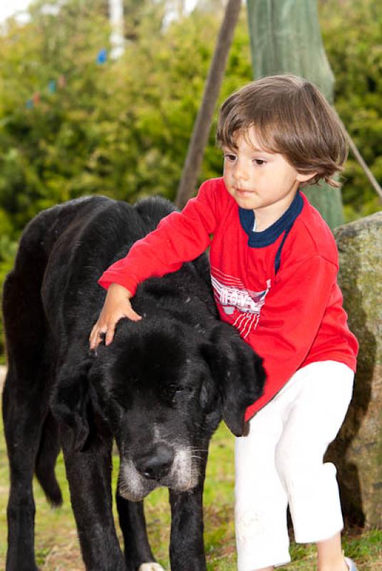 NiÃ±o con su Mascota