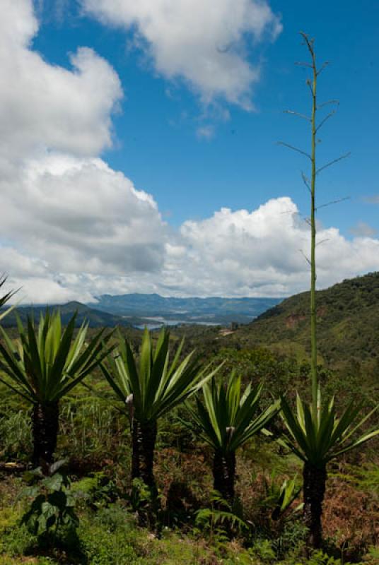 Paisaje de Concepcion, Oriente AntioqueÃ±o, Anti...