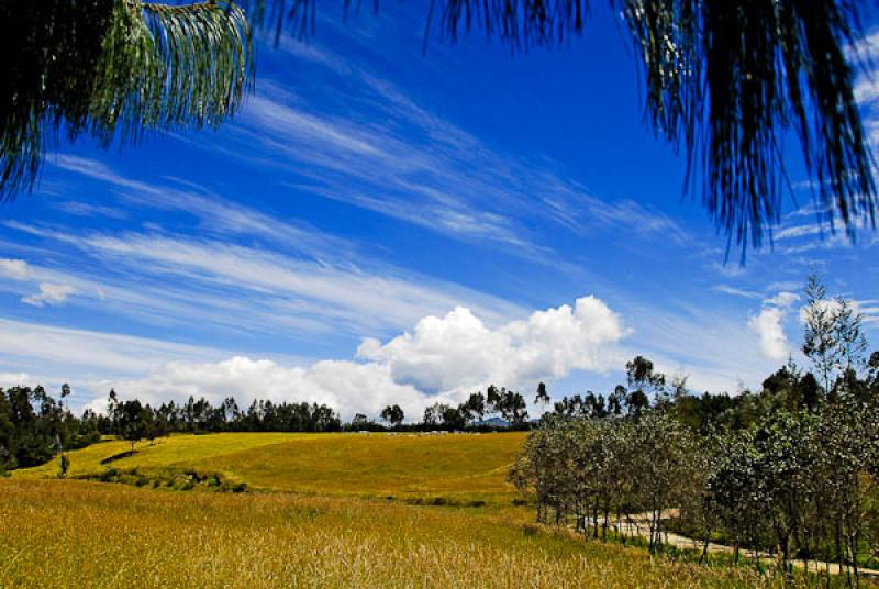 Paisaje de Guasca, Guavio, Cundinamarca, Colombia