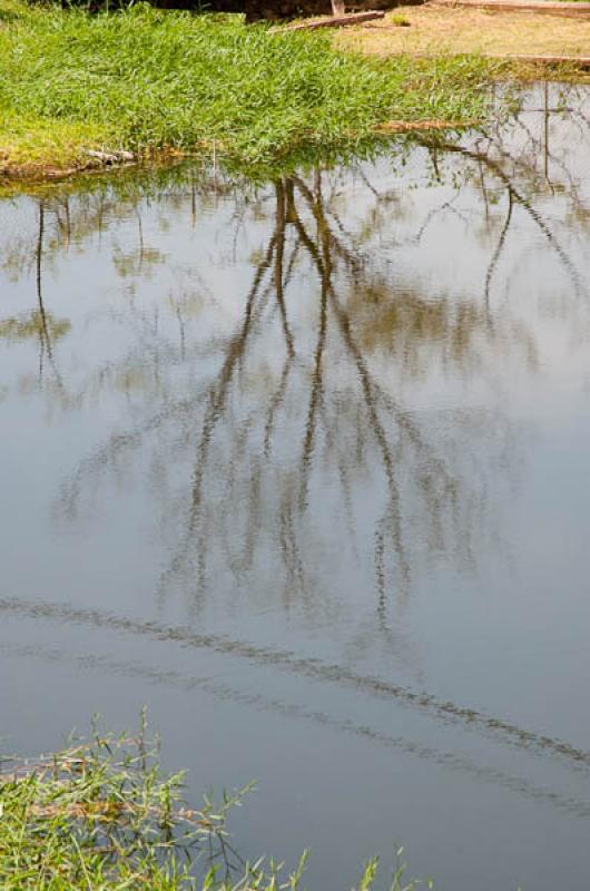 Reflejo en el Agua