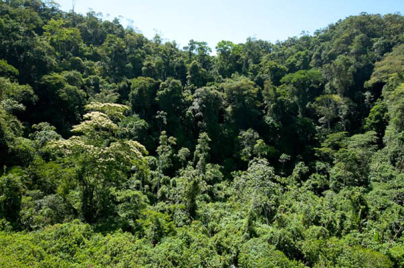 Reserva Natural CaÃ±on del Rio Claro, San Luis, ...