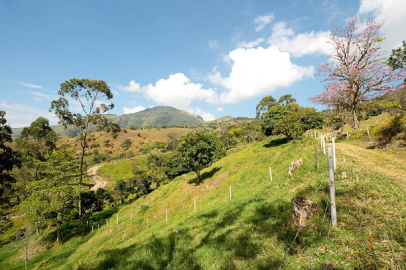 Paisaje del Suroeste AntioqueÃ±o, Antioquia, Col...