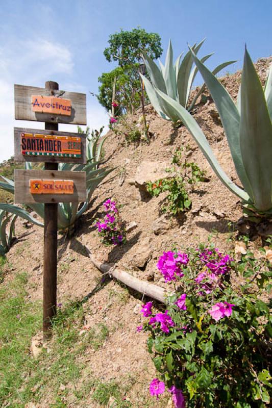 Parque Nacional del Chicamocha, Santander, Bucaram...