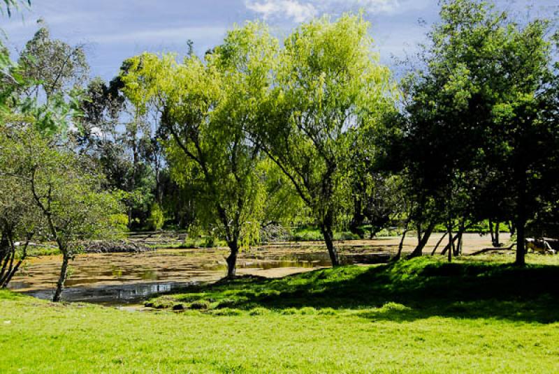 Guasca, Guavio, Cundinamarca, Colombia