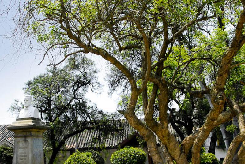 Parque Pedro Fernandez Madrid, Madrid, Provincia d...