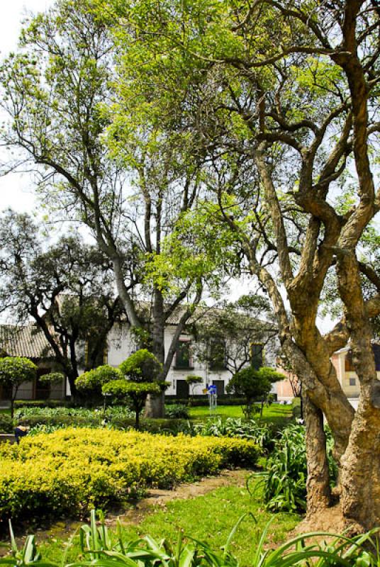 Parque Pedro Fernandez Madrid, Madrid, Provincia d...