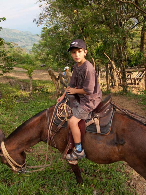 NiÃ±o en Caballo