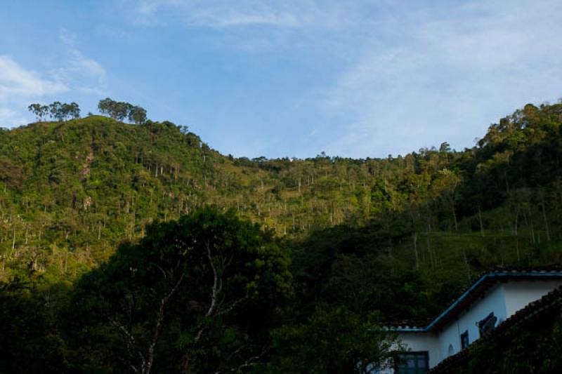 Vivienda en el Campo