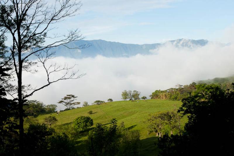 Paisaje en el Campo