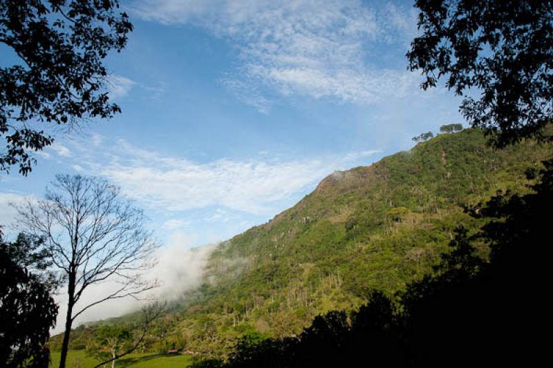 Paisaje en el Campo