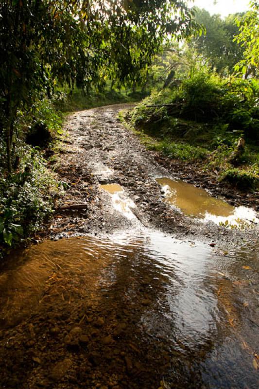 Rio en el Campo