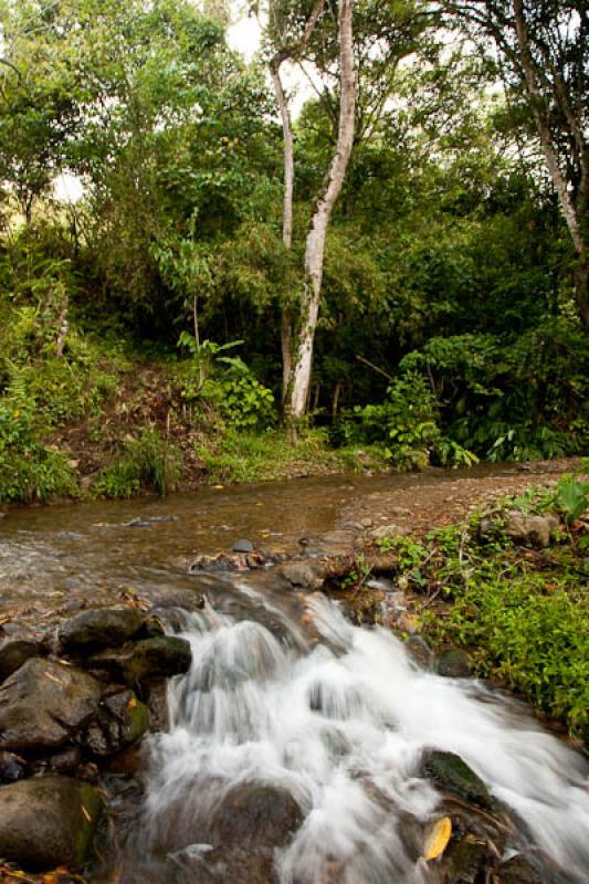 Rio en el Campo