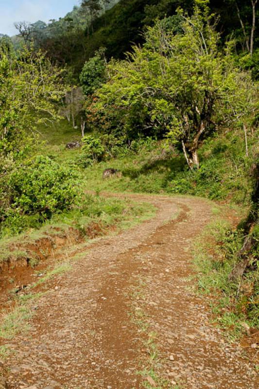 Sendero en el Campo