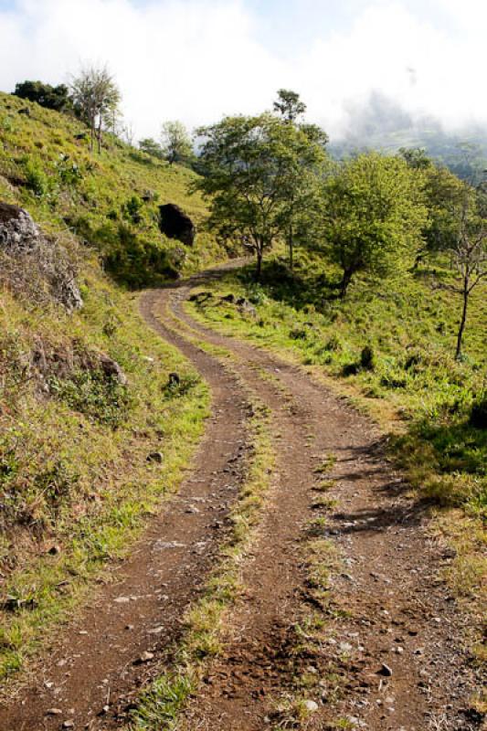 Sendero en el Campo