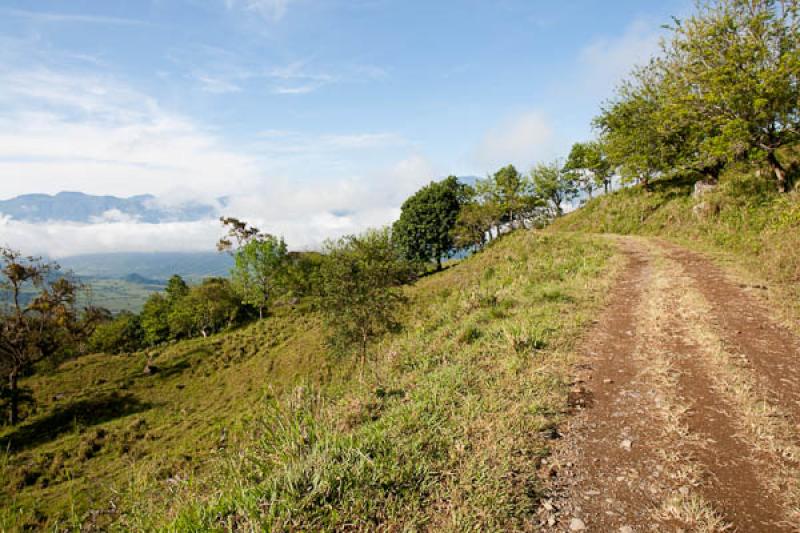 Sendero en el Campo