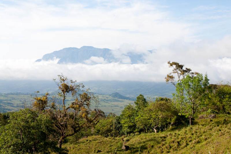 Paisaje en el Campo