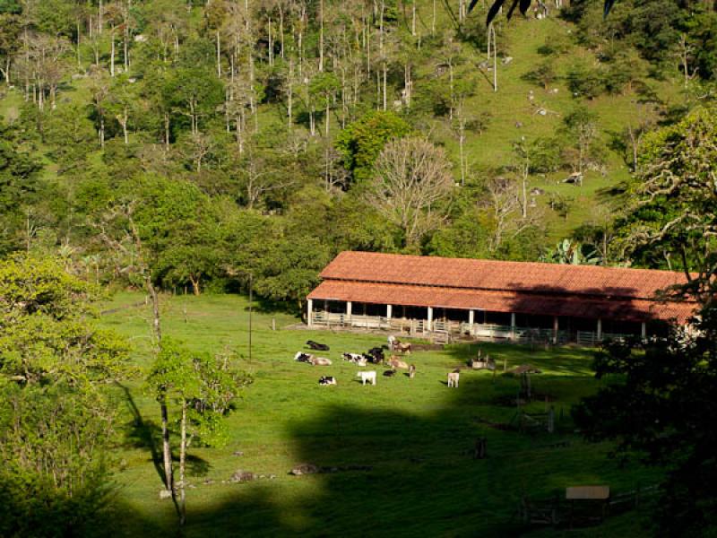 Pesebrera en el Campo