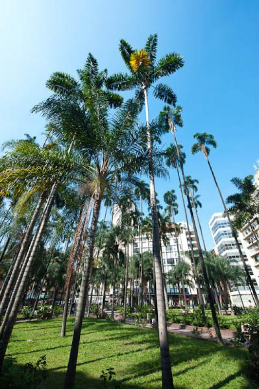 Plaza de Caicedo, Cali, Santiago de Cali, Valle de...