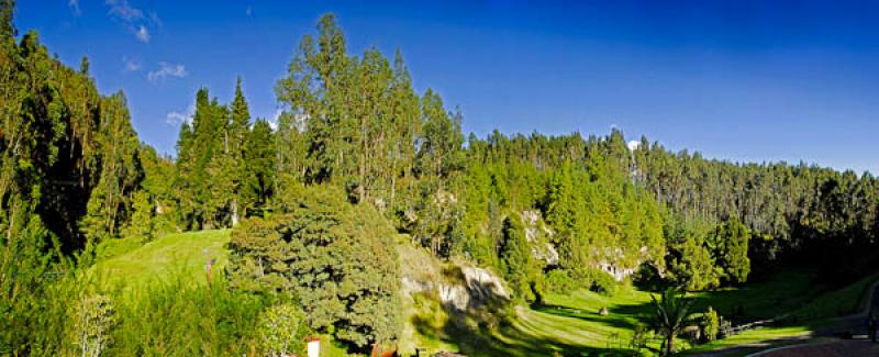 Nemocon, Provincia de Sabana Centro, Cundinamarca,...