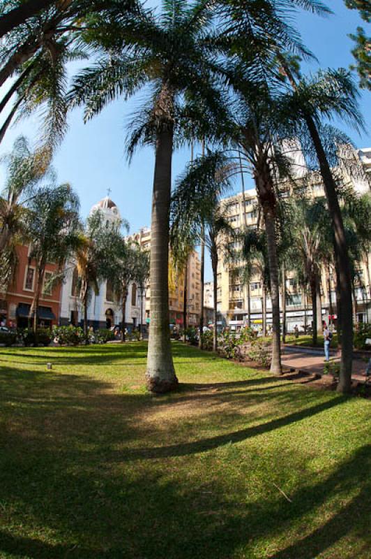 Plaza de Caicedo, Cali, Santiago de Cali, Valle de...