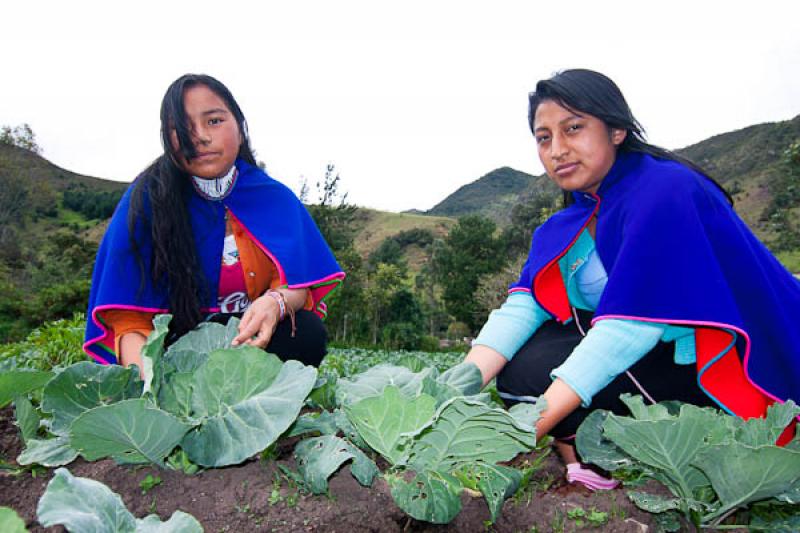 Pueblo Indigena Guambiano, Silvia, Cauca, Popayan,...