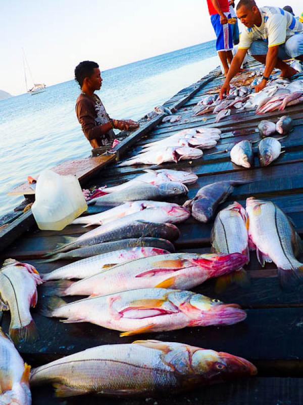 Pesca en El Rodadero, Santa Marta, Magdalena, Colo...