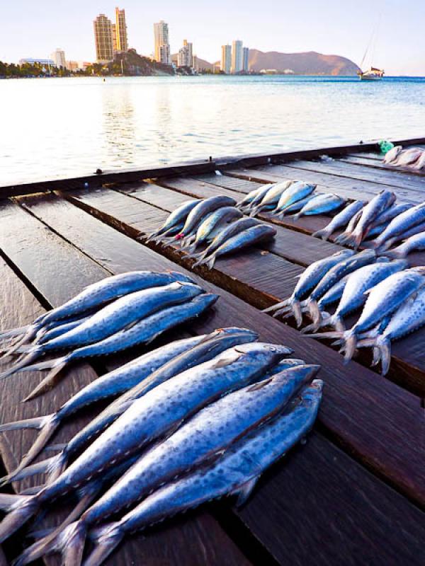 Pesca en El Rodadero, Santa Marta, Magdalena, Colo...