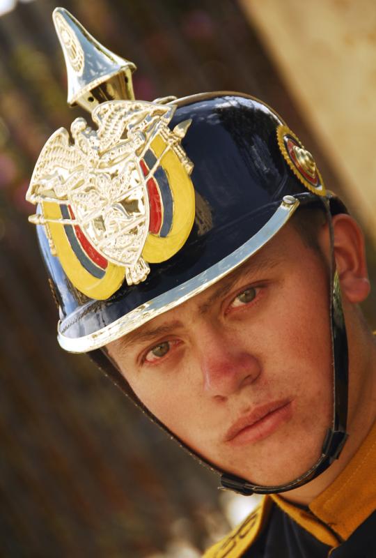 Guardia del Palacio de NariÃ±o, La Candelaria, B...