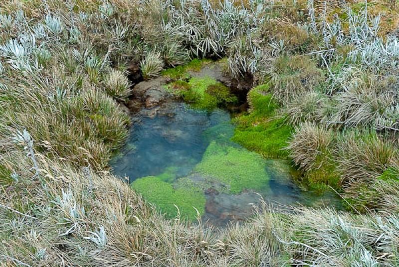 Parque Nacional Natural Los Nevados, Manizales, Ca...