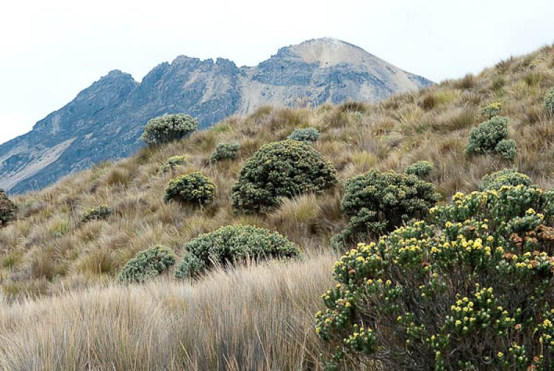 Parque Nacional Natural Los Nevados, Manizales, Ca...