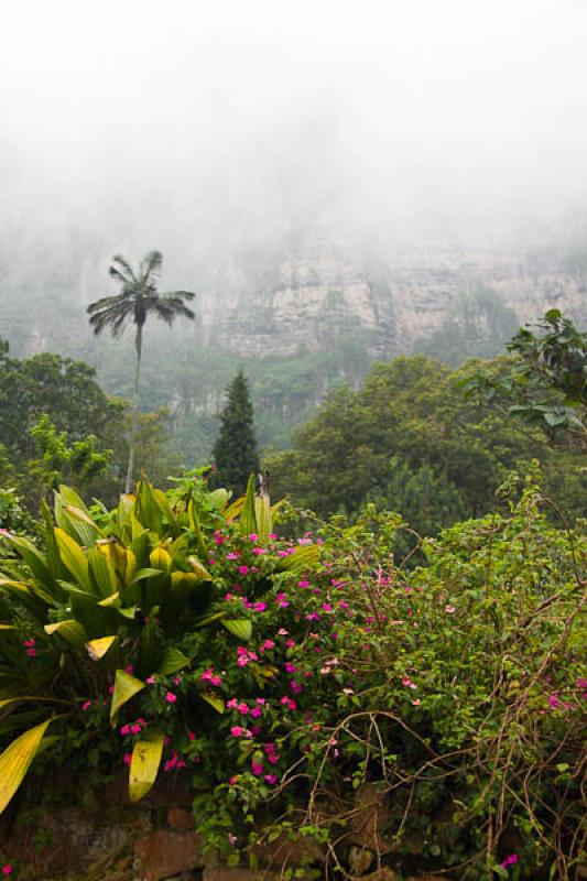 Parque Natural Chicaque, Soacha, Cundinamarca, Bog...