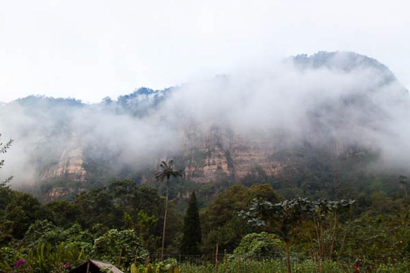 Parque Natural Chicaque, Soacha, Cundinamarca, Bog...