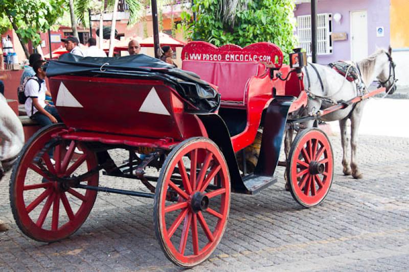 Carruaje en Plaza San Pedro Claver, Cartagena, Bol...