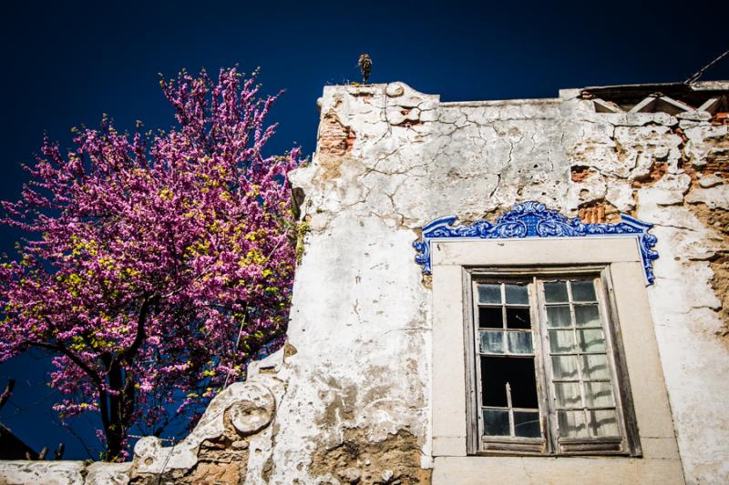 Ventana de una Vivienda de Cascais, Lisboa, Portug...