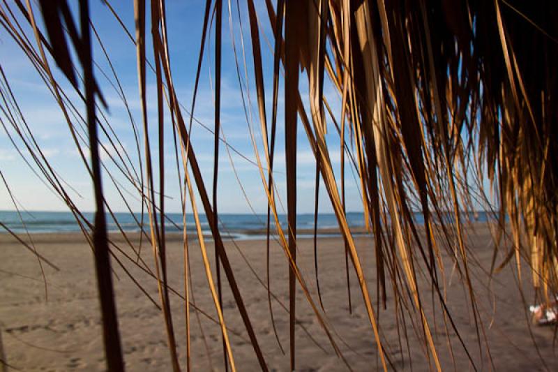 Playa la Boquilla, Boquilla, Cartagena, Bolivar, C...