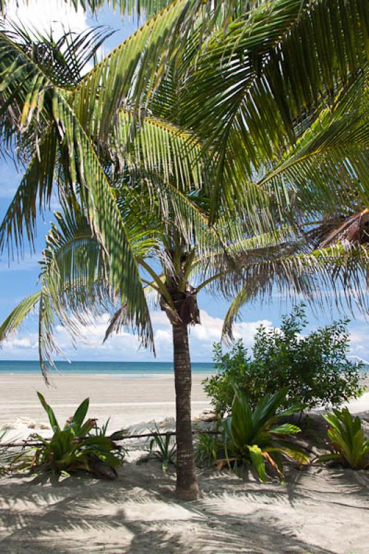 Playa la Boquilla, Boquilla, Cartagena, Bolivar, C...