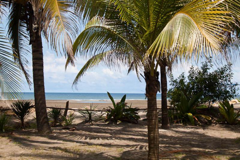 Playa la Boquilla, Boquilla, Cartagena, Bolivar, C...