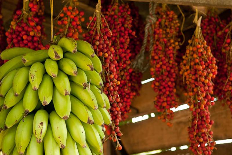 Fruteria