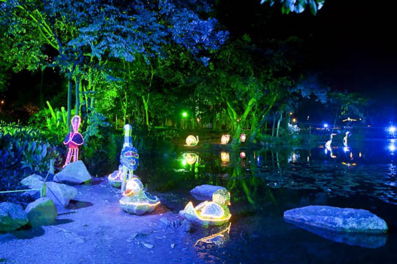 Jardin Botanico de Medellin Joaquin Antonio Uribe,...