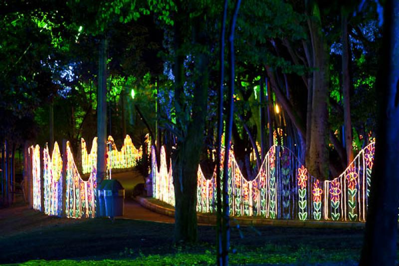 Jardin Botanico de Medellin Joaquin Antonio Uribe,...