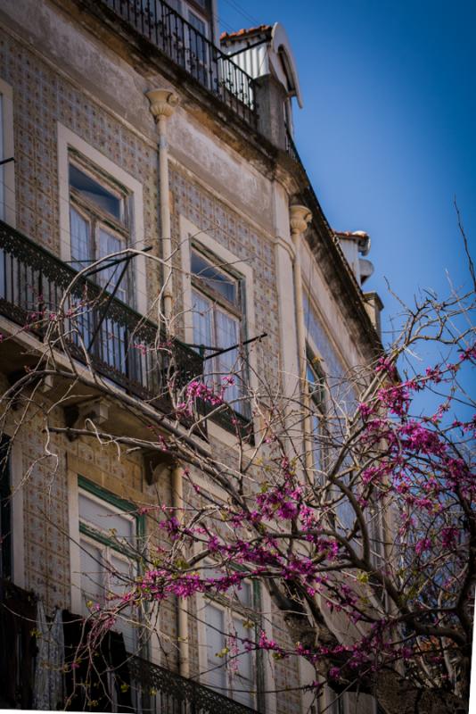 Vivienda Tradicional de de Lisboa, Portugal, Europ...