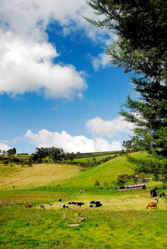 Zipacon, Provincia de Sabana Occidente, Cundinamar...