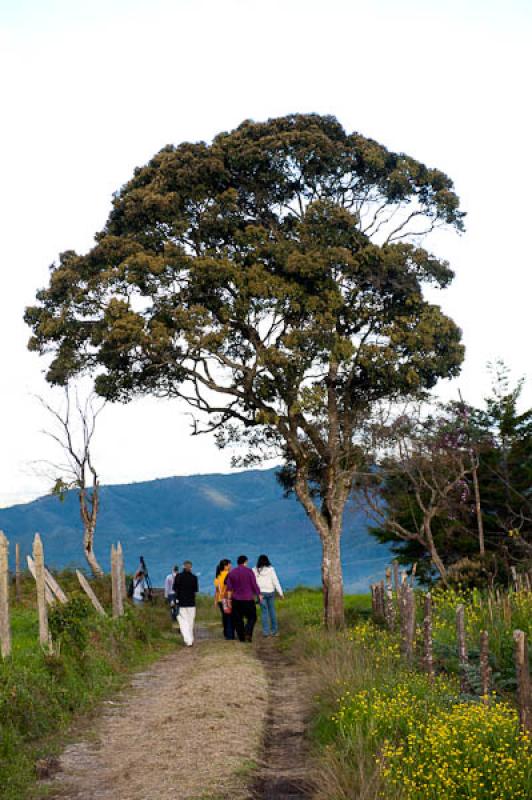 Santa Elena, Medellin, Antioquia, Colombia